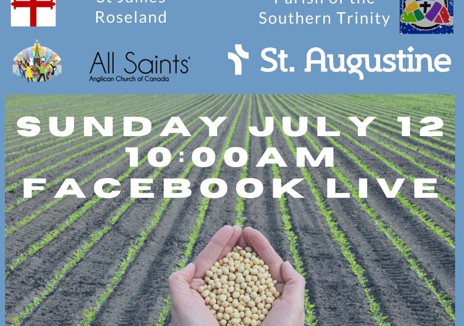 graphic announcing worship for July 12. picture of a field and hands holding grain