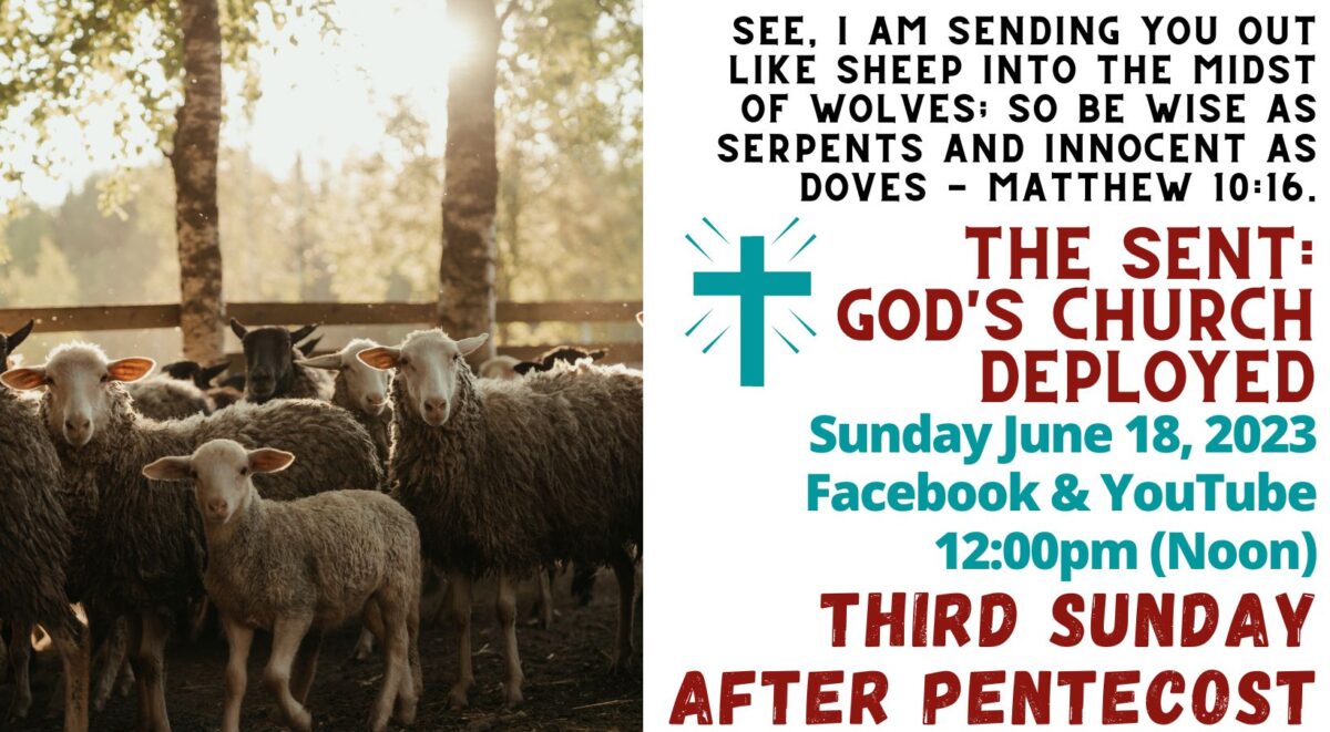 See I am sending you out like sheep in the midst of wolves: so be wise as serpents and innocent as doves. Matthew 10:16 Third Sunday after Pentecost