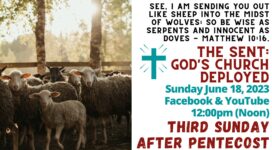 See I am sending you out like sheep in the midst of wolves: so be wise as serpents and innocent as doves. Matthew 10:16 Third Sunday after Pentecost