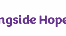 graphic with Alongside Hope logo, words Alongside Hope Wild Ride