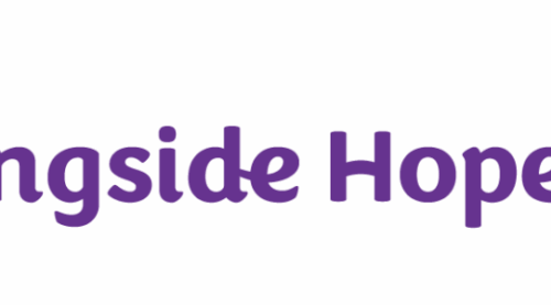 graphic with Alongside Hope logo, words Alongside Hope Wild Ride